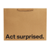 Funny gift bag with the phrase &