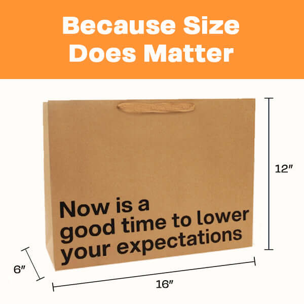 Funny gift bag with dimensions 16x12 inches, featuring the phrase 'Now is a good time to lower your expectations'.