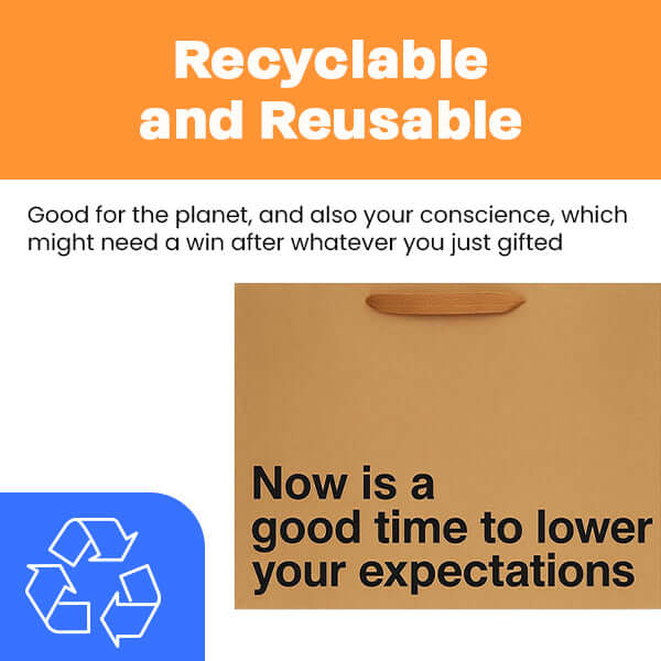 Funny gift bag featuring the phrase 'Now is a good time to lower your expectations', recyclable and reusable design.