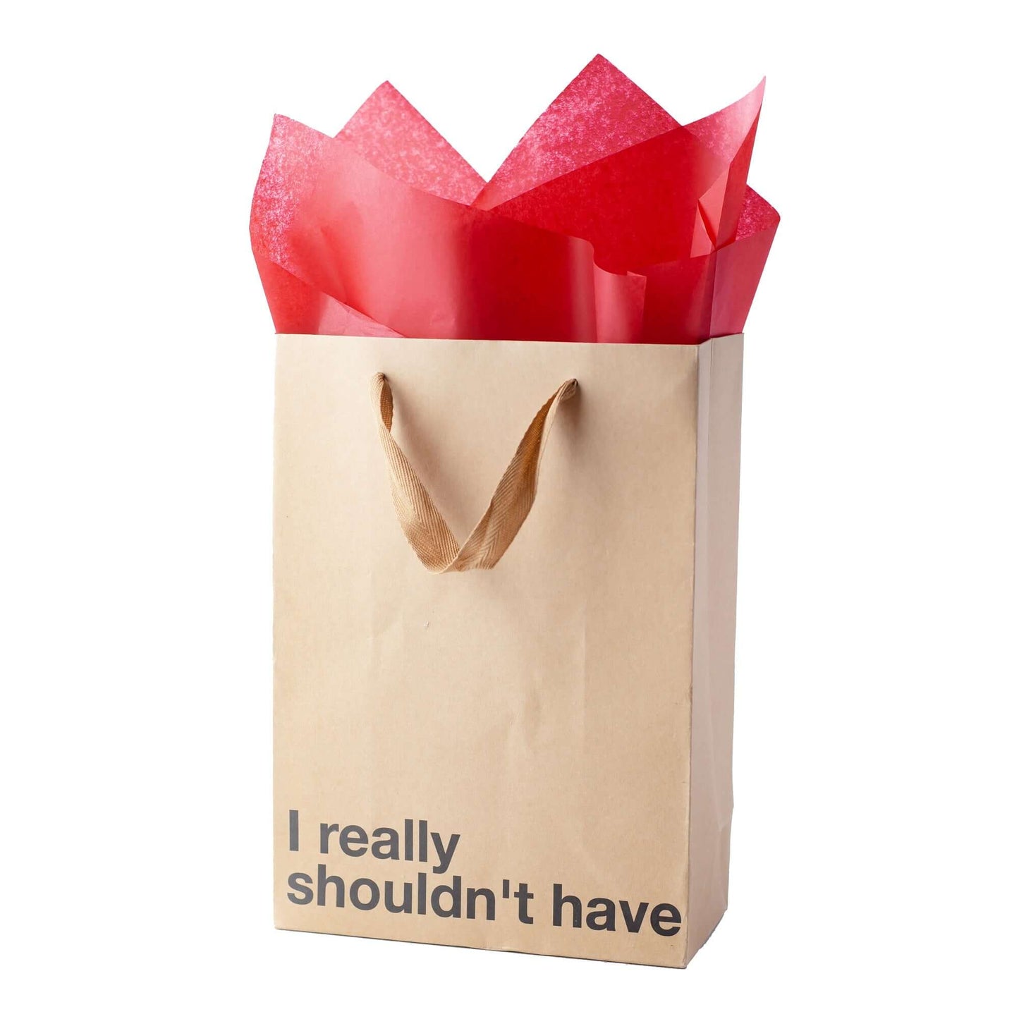 Funny gift bag with kraft material and brown ribbon handle, featuring the phrase 'I really shouldn't have'.