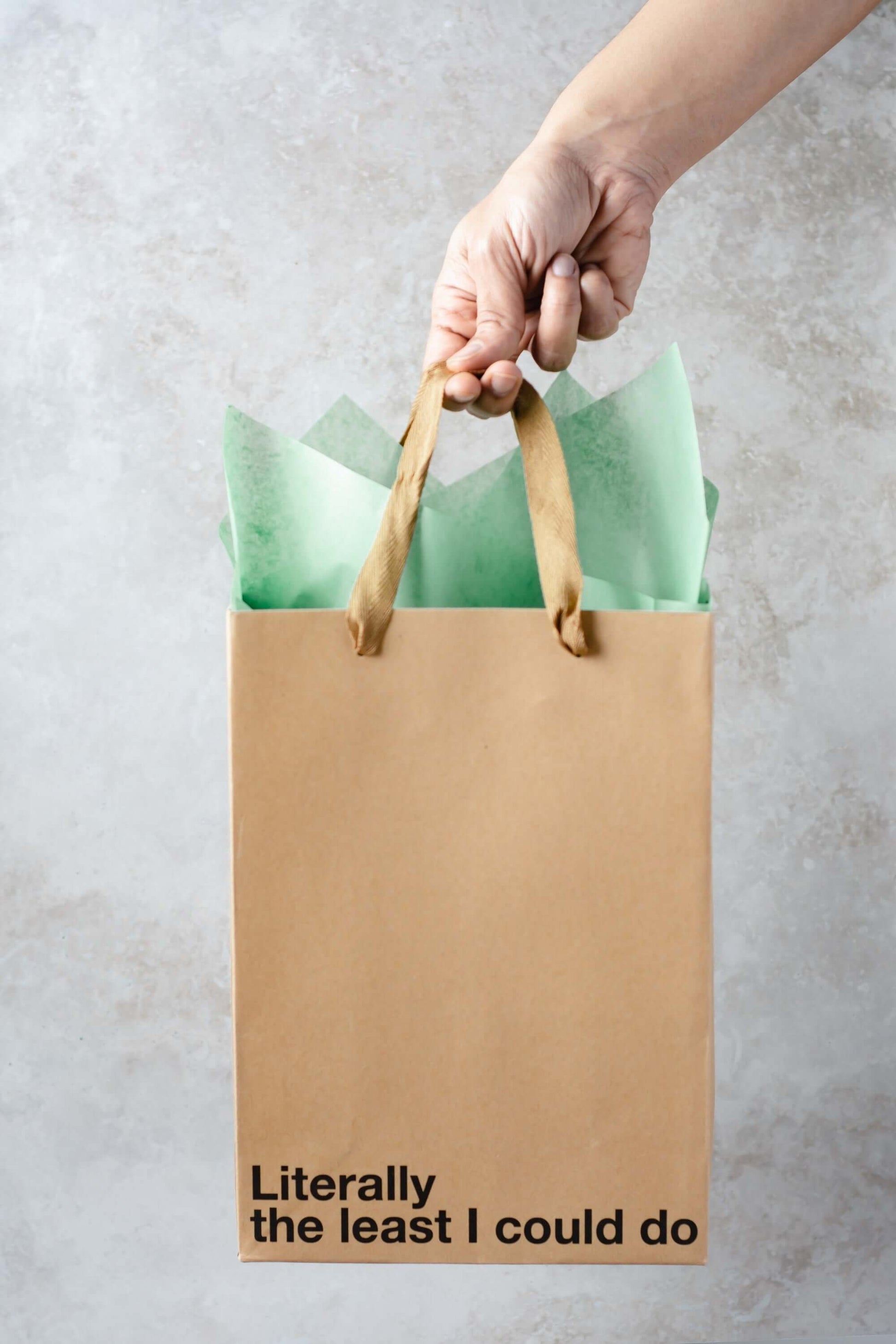 Hand holding a kraft gift bag with green tissue, featuring the text 'Literally the least I could do' for a funny gift bag.