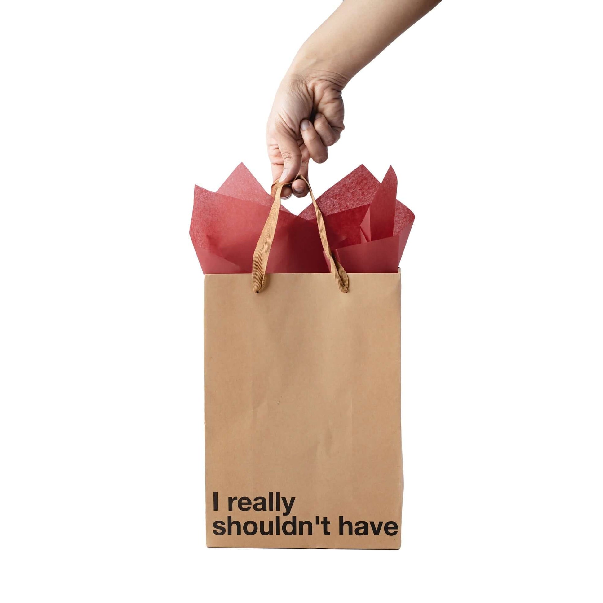 Funny gift bag with handle featuring text 'I really shouldn't have' and red tissue paper inside.