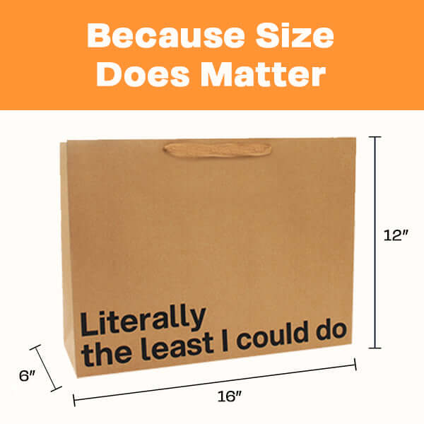 Large gift bag with the text 'Literally the least I could do', perfect for a funny gift bag.