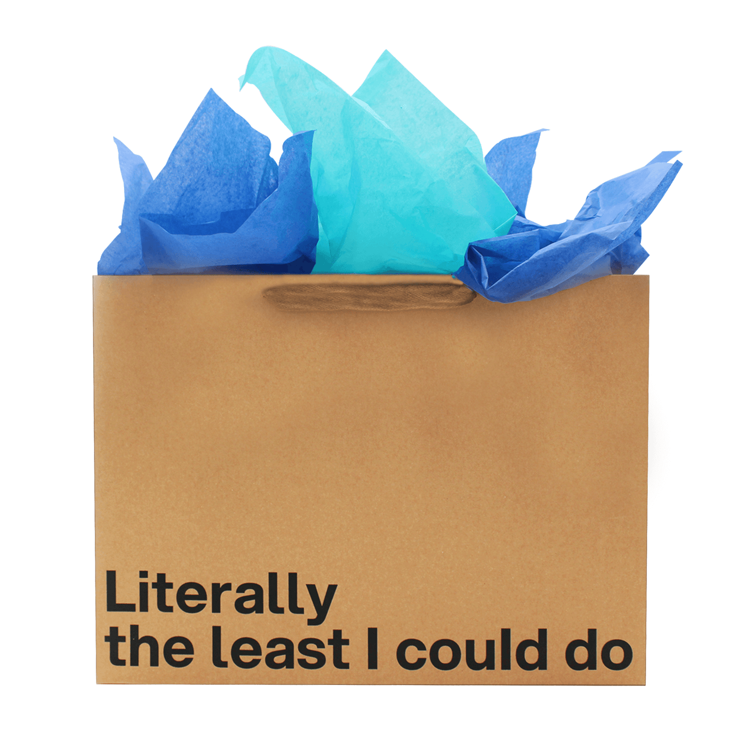 Funny gift bag with the phrase 'Literally the least I could do' and colorful tissue paper inside.