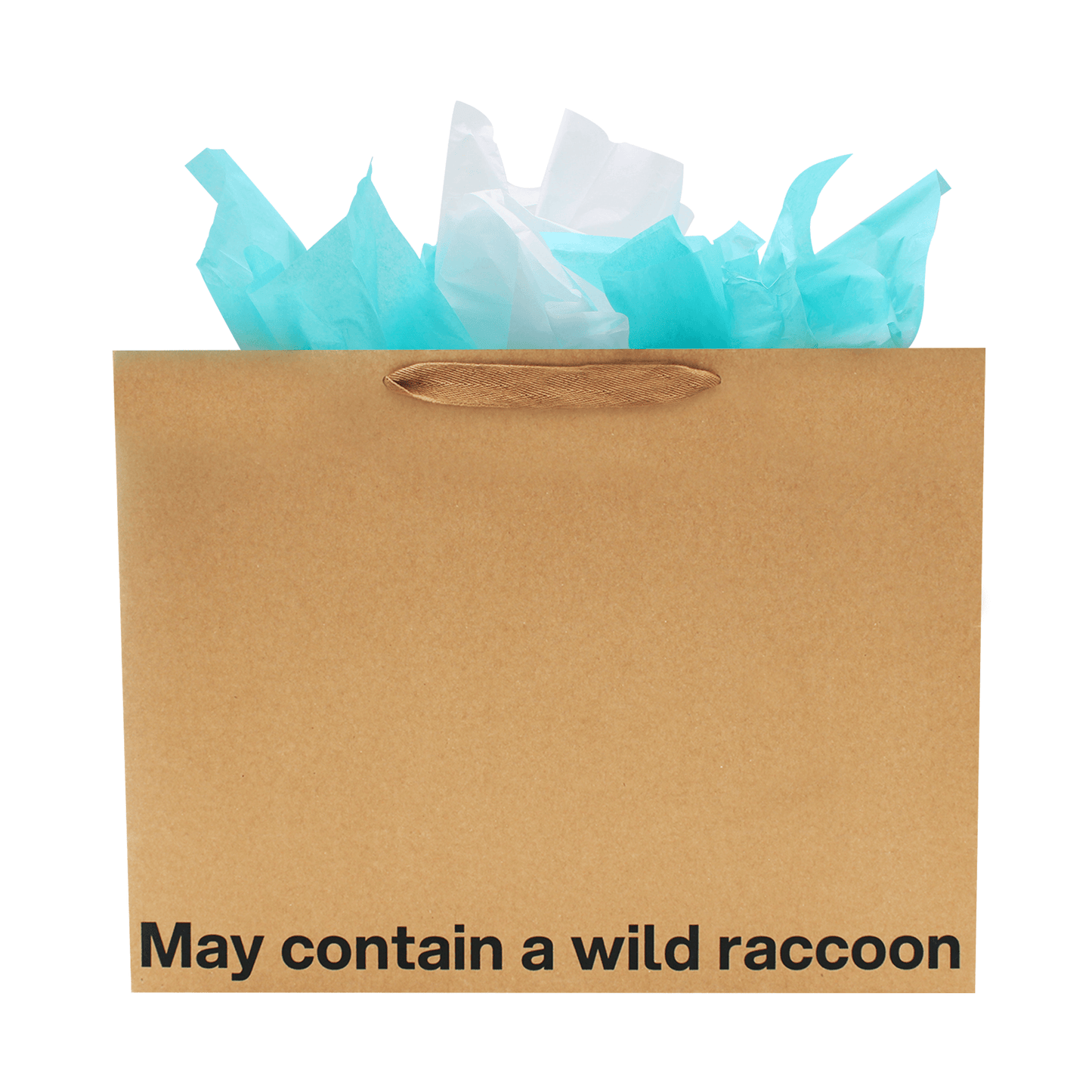 Funny gift bag with the text 'May contain a wild raccoon' and blue tissue paper inside.