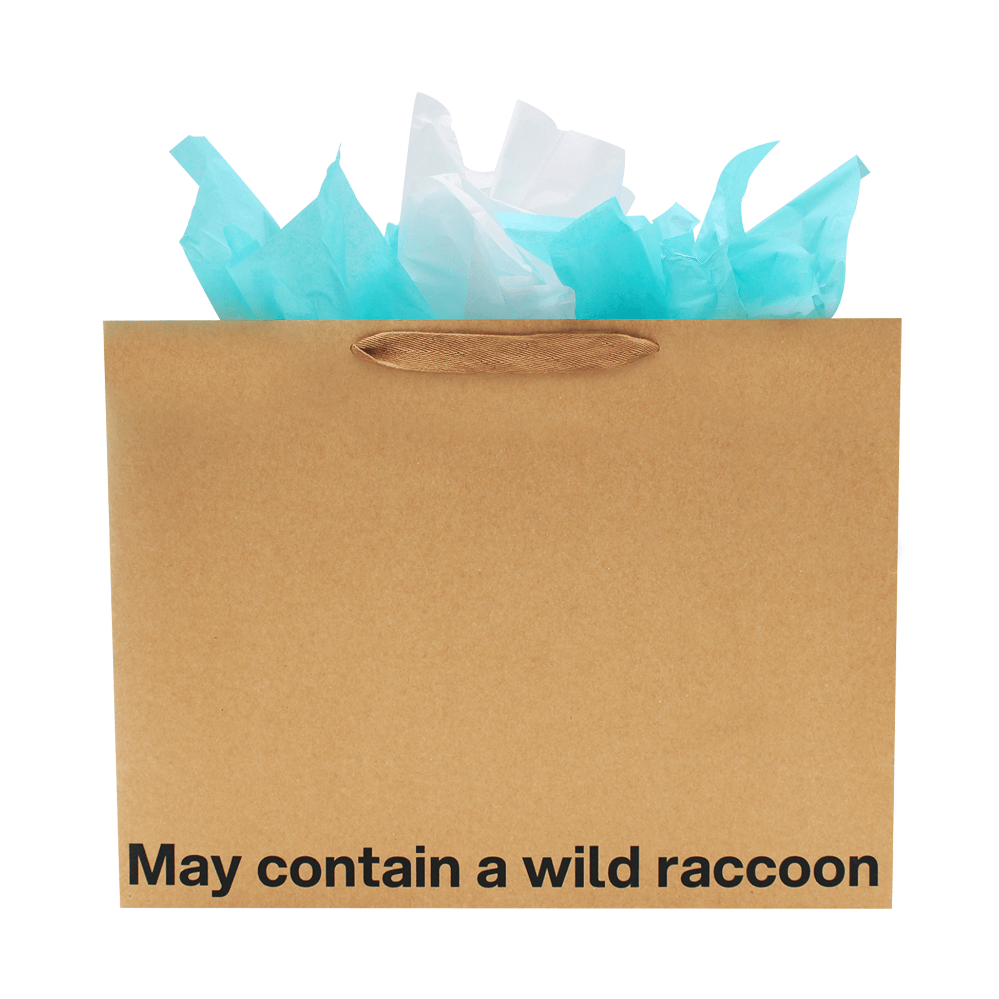 Funny gift bag with the text 'May contain a wild raccoon' and blue tissue paper inside.