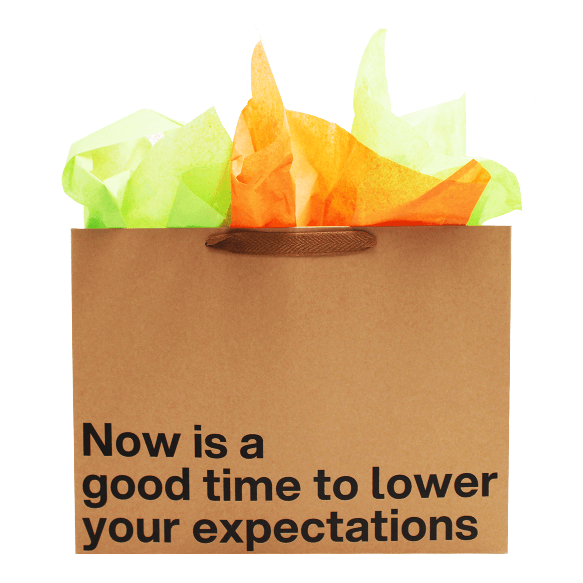 Funny gift bag with colorful tissue paper, featuring the phrase 'Now is a good time to lower your expectations'.