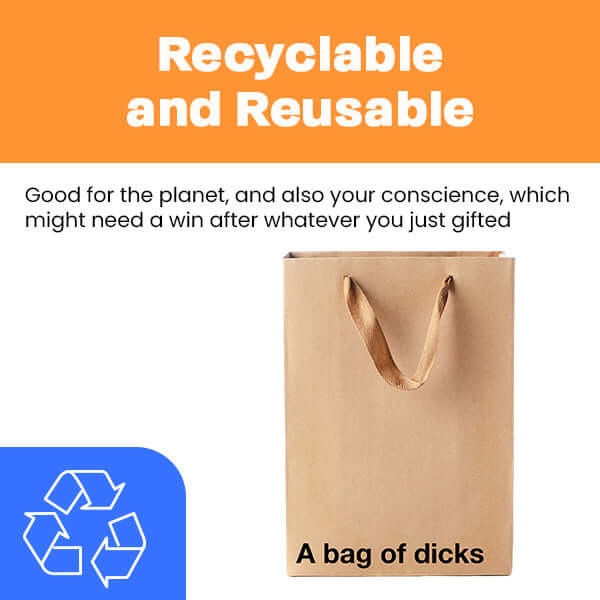 Funny gift bag with the phrase 'A bag of dicks', showcasing a bold and humorous design.