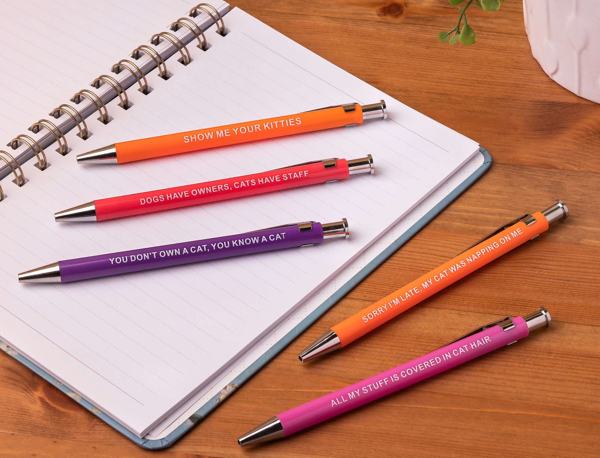 Sarcastic pens with colorful cat-themed designs and humorous sayings.